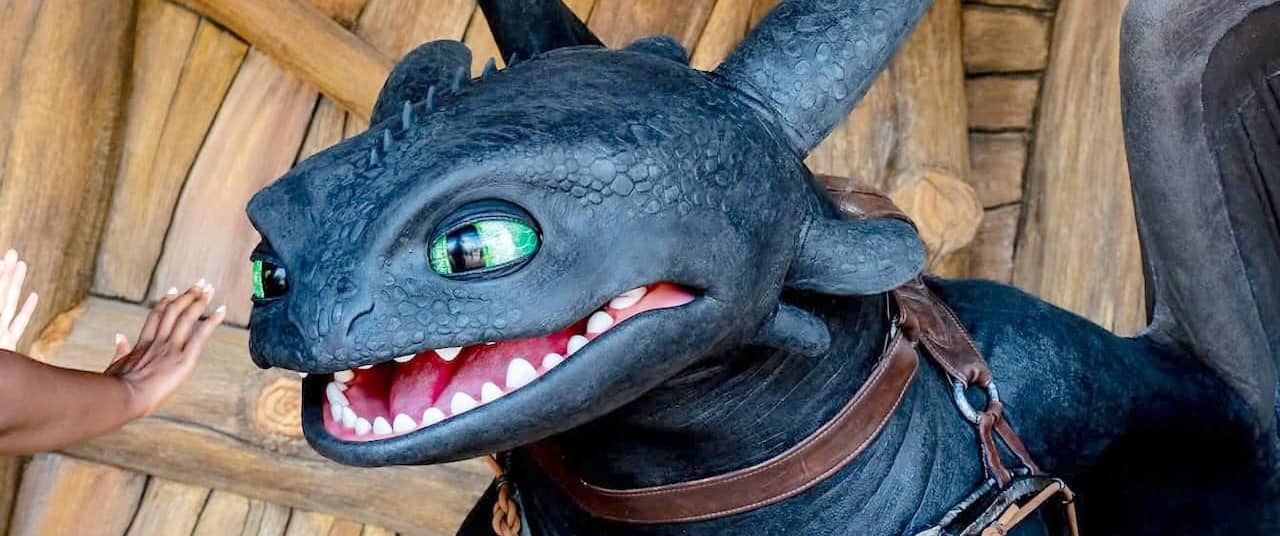 Meet Toothless & Hiccup
