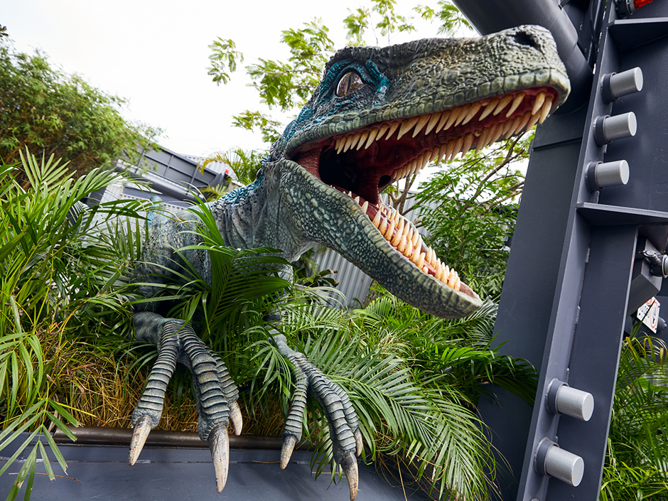 Raptor Encounter